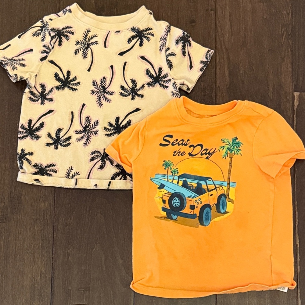 Old Navy Bundle ! Toddler Boys Seas the Day and Palm print Graphic Tees